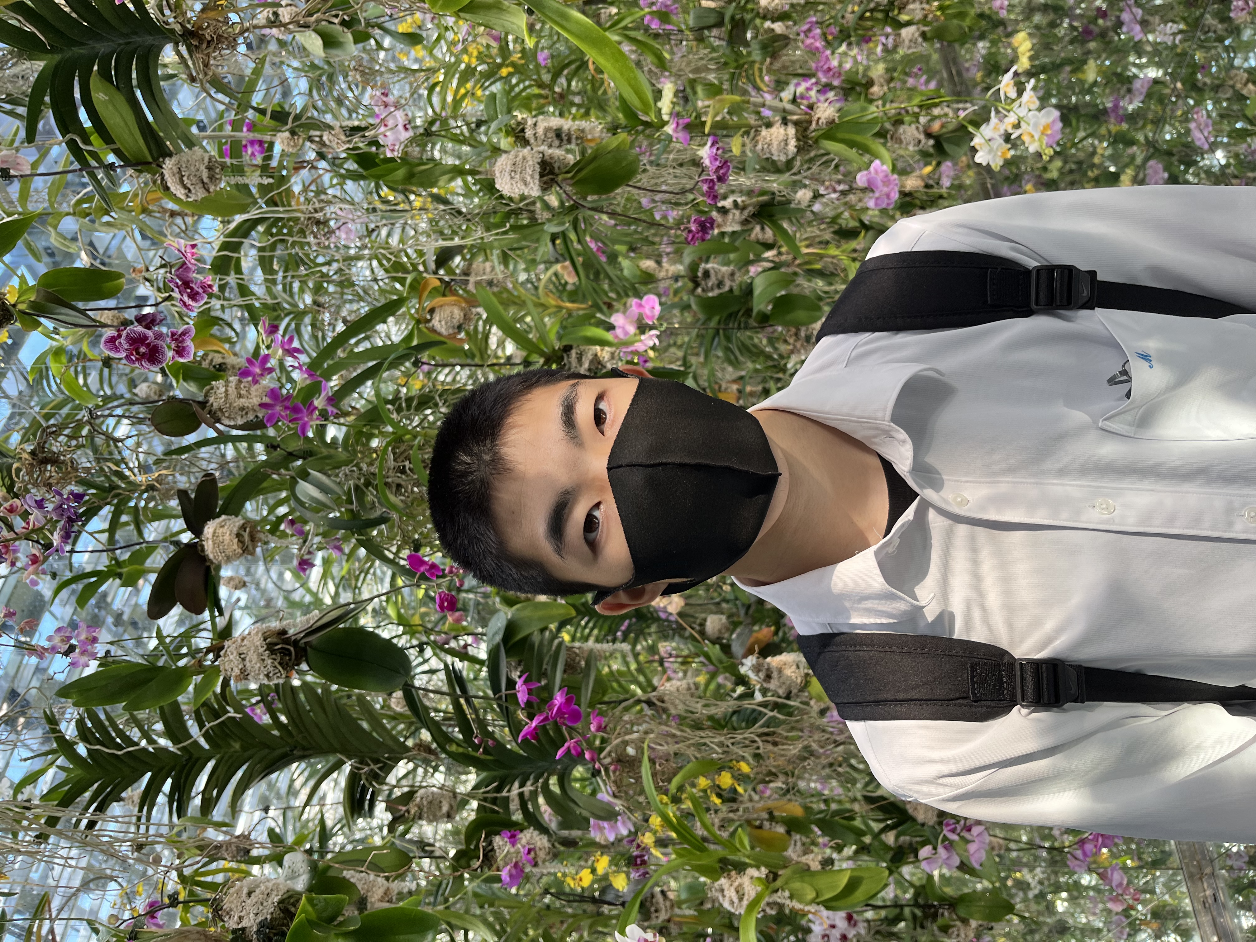 画像 -20251017-002012-2b246898