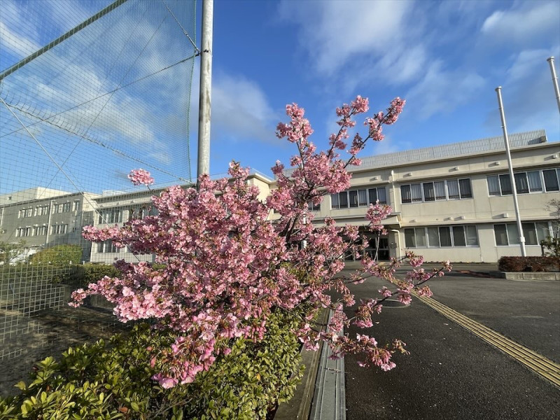 IMG_8042_6C707B1A-1C1C-4F30-A841-F8802CAB2BBF