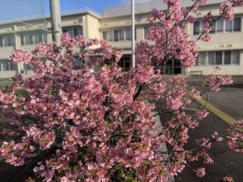 IMG_8045_AB7535EE-360E-43C5-BC8F-FAC74164C3D5