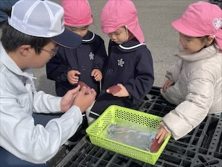 IMG_8073_2F288C30-0BA8-4989-BACF-D0ACBBA271ED