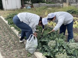 IMG_8156_89FAAFBC-27A2-4D4C-ABF6-5FFFBBE74F44