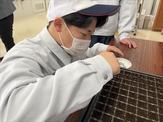 IMG_8182_B6DEE949-E611-4BE7-856A-397E3824D3E9