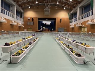 IMG_8247_8BFCB15B-A089-4490-8528-8125C4F0E696