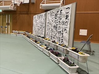 IMG_8238_DD3096C3-FCAF-4459-A457-E17E562C9722