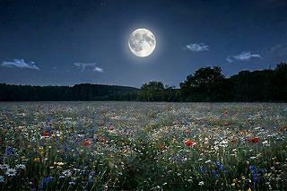 Flower Moon