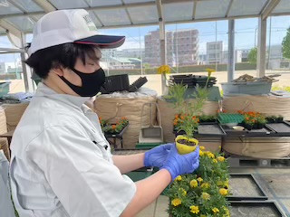 IMG_9865_E5682341