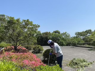 IMG_3608_2FA38597