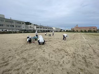 IMG_2117_41B8421C