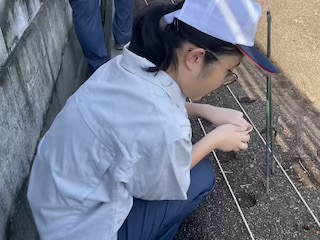IMG_3485_EFABD5A8